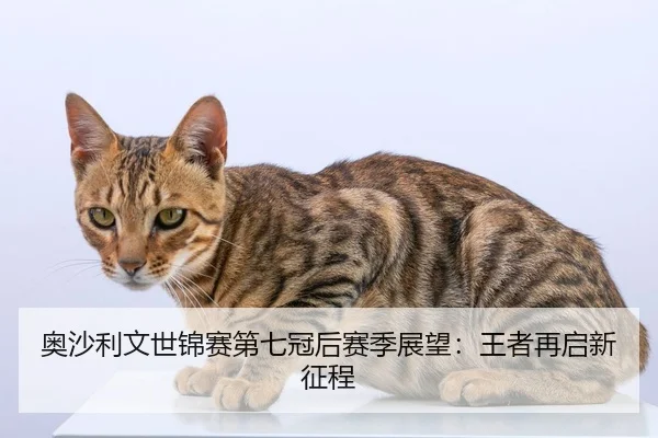 奥沙利文世锦赛第七冠后赛季展望：王者再启新征程